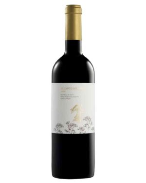 EL CANTO DEL ÁNGEL 2012