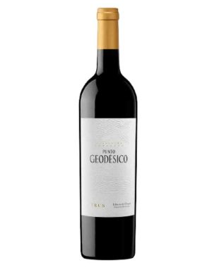 PUNTO GEODÉSICO