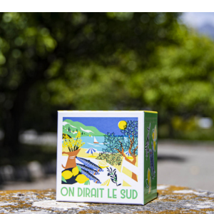 ESTUCHE PARECE EL SUR